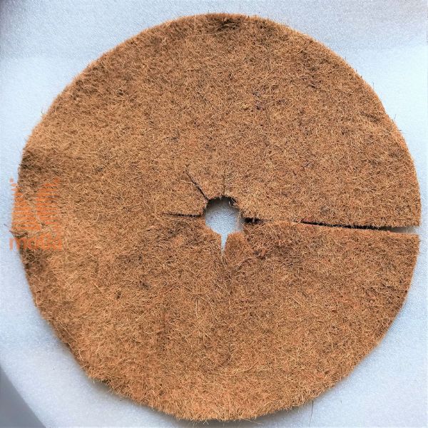 Picture of Kokosov disk